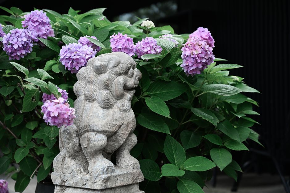 Hōgon-in Temple, Kyoto, Japan