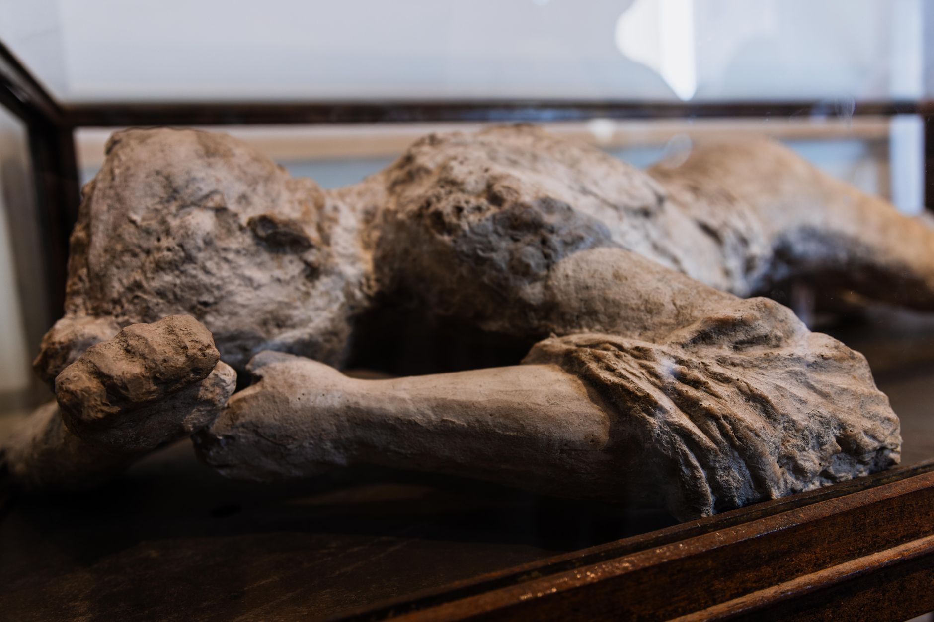 Almoina Archaeological Museum, Valencia, Spain