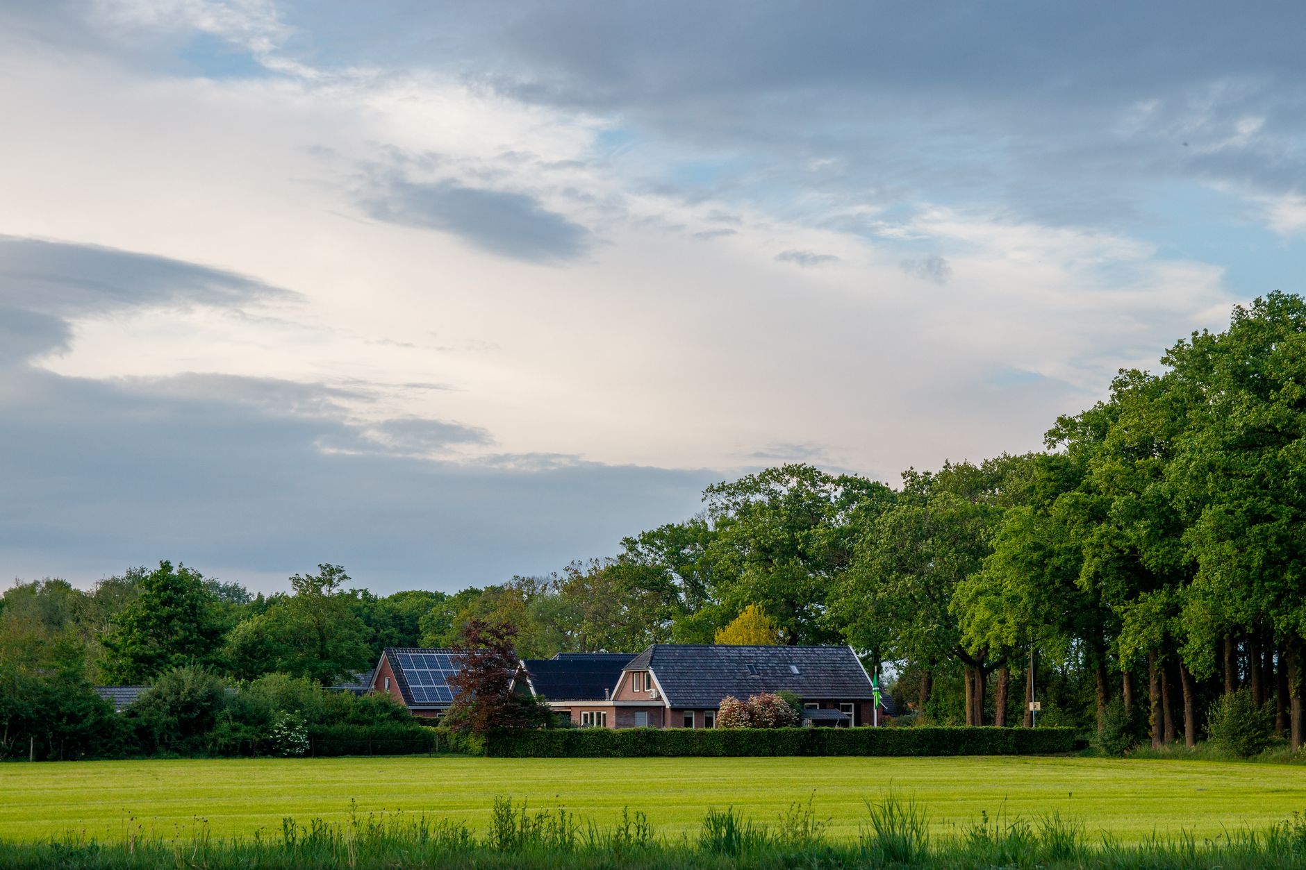 A sweeping view of the Dutch countryside in summer, with fields, canals, and distant historic windmills under a clear blue sky.
