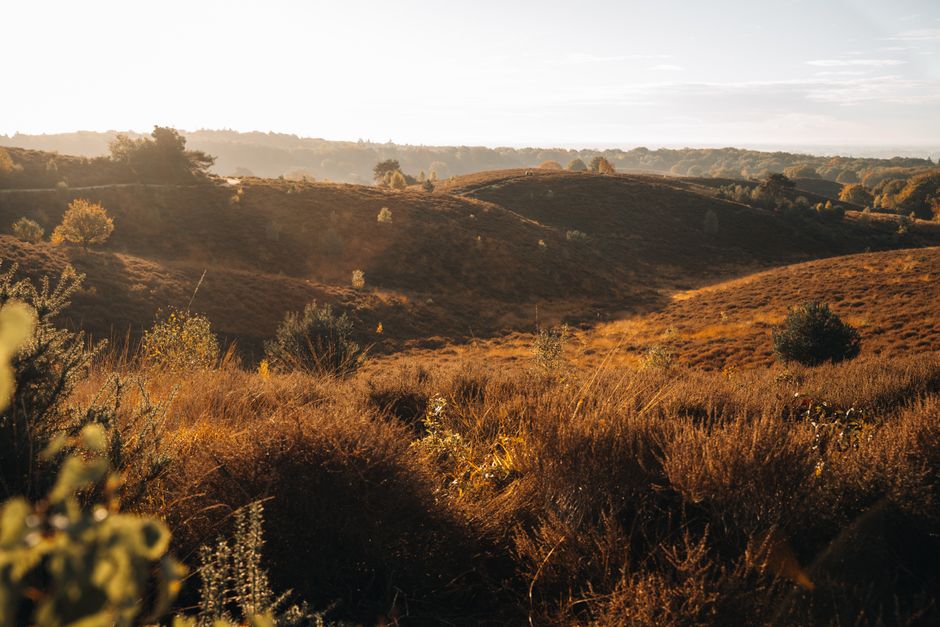 Hoge Veluwe National Park, Netherlands