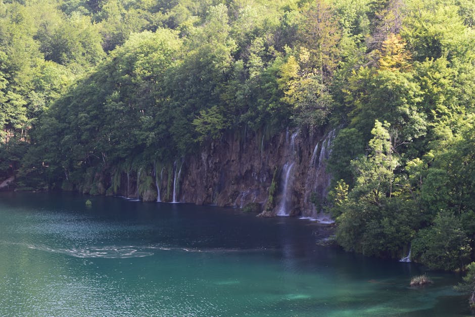 Mljet, Croatia
