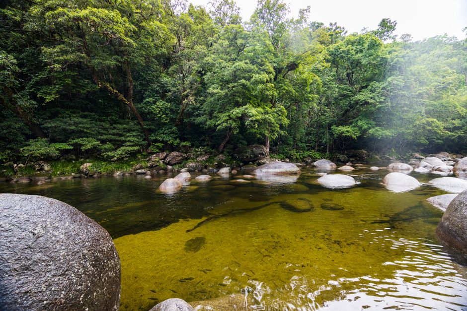 Eungella National Park, Australia