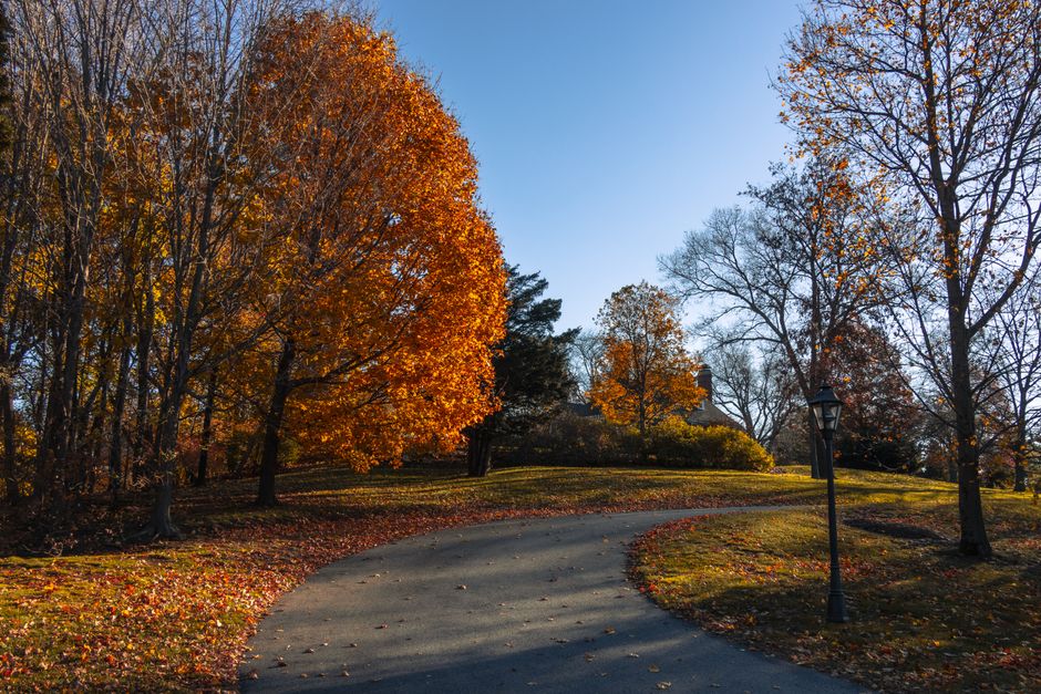 Dominion Arboretum, Ottawa, Canada