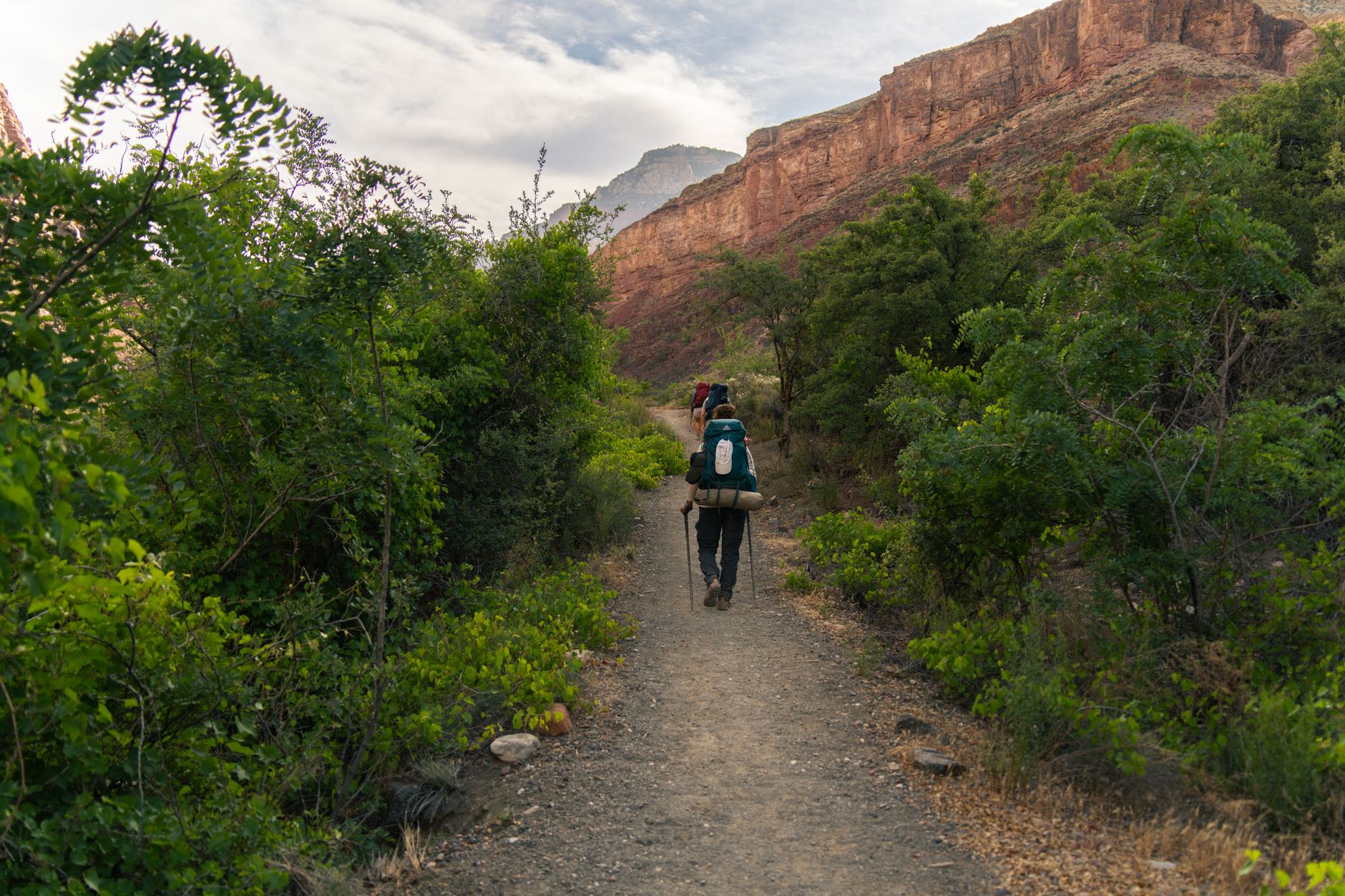 Tecolote Canyon Natural Park, San Diego, USA