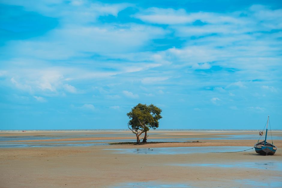 Chandipur, India