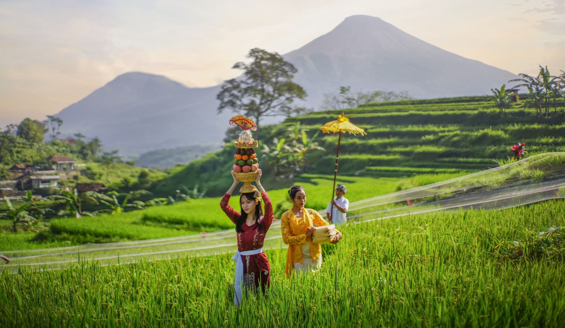 A sweeping aerial view of a vibrant green terraced landscape in Indonesia, possibly rice fields, with traditional houses nestled among hills under a clear blue sky, symbolizing the country's diverse natural beauty and cultural heritage.