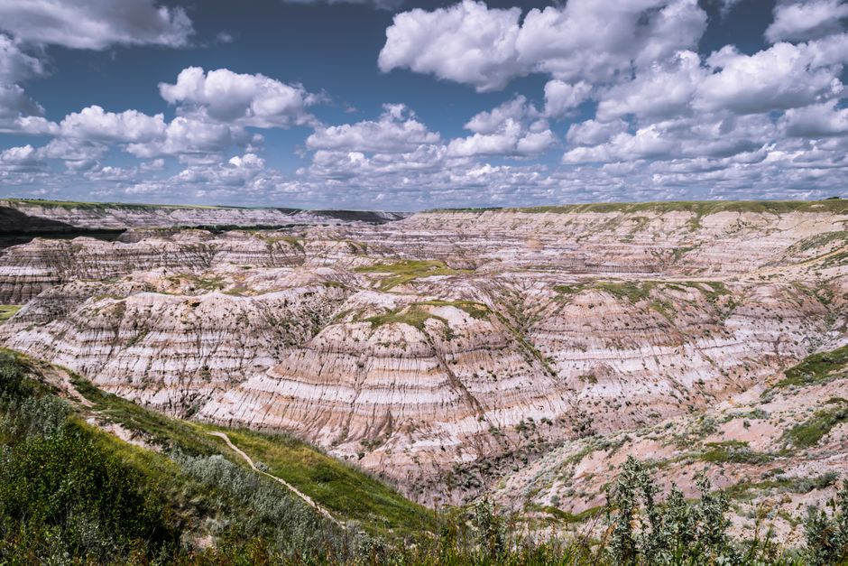 Dinosaur Provincial Park, Alberta, Canada