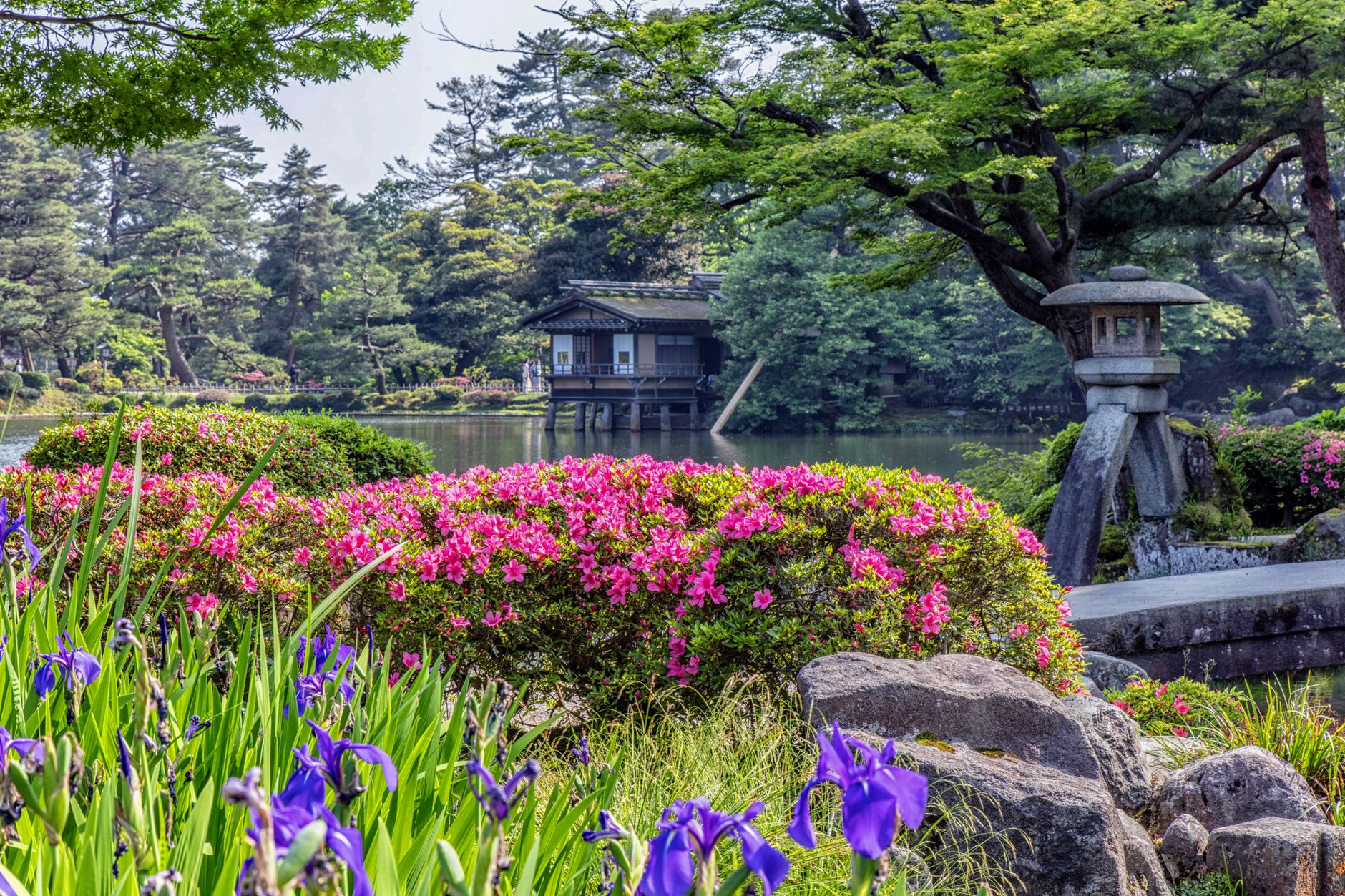 Nomura-ke Samurai Residence, Kanazawa, Japan