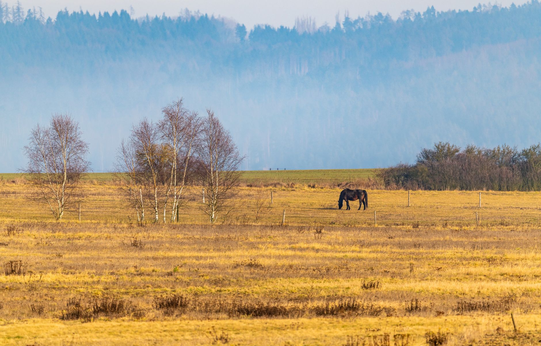 Roztocze National Park, Lublin Voivodeship, Poland