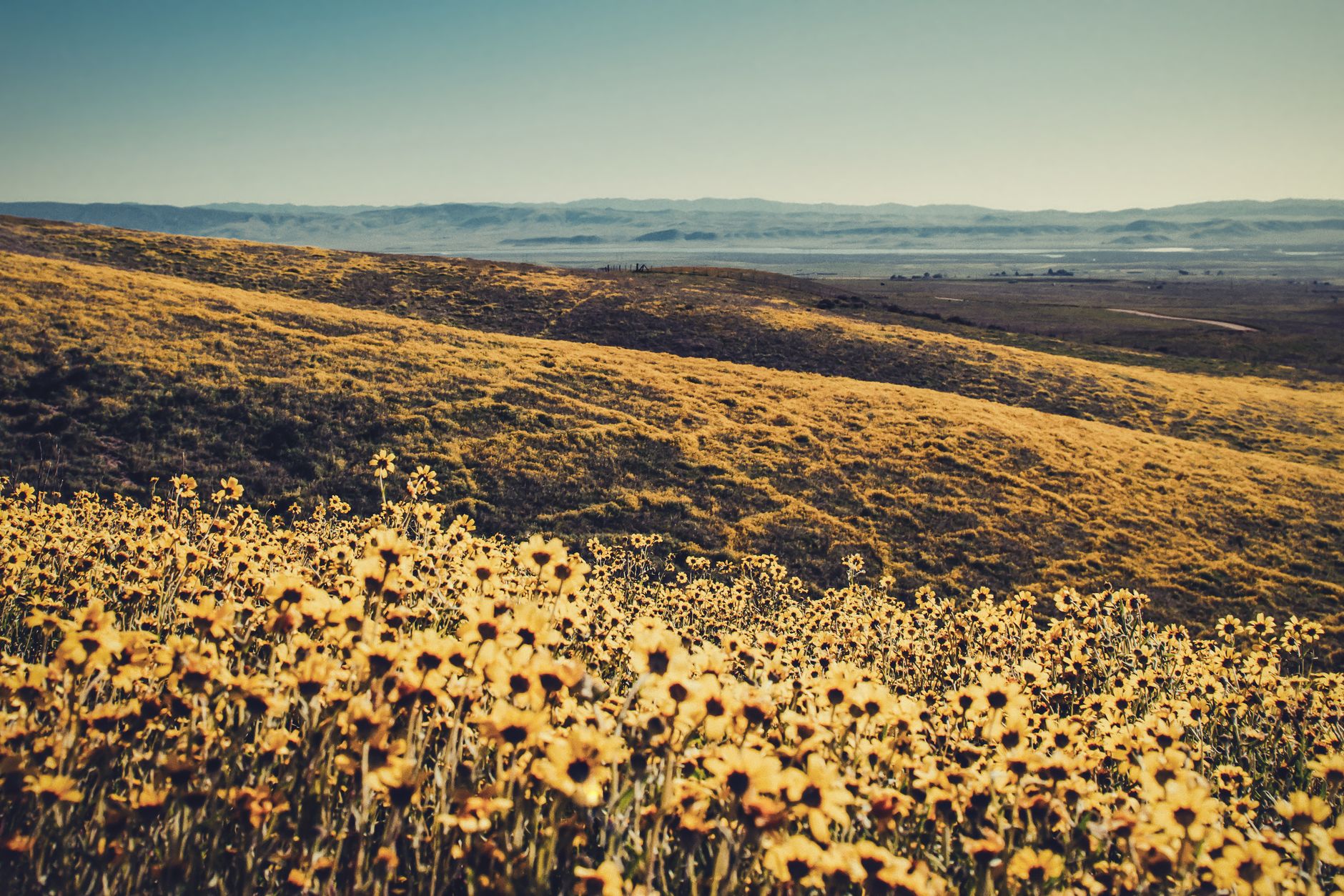 Beyond LA & SF: What are some recommended places to visit in California?