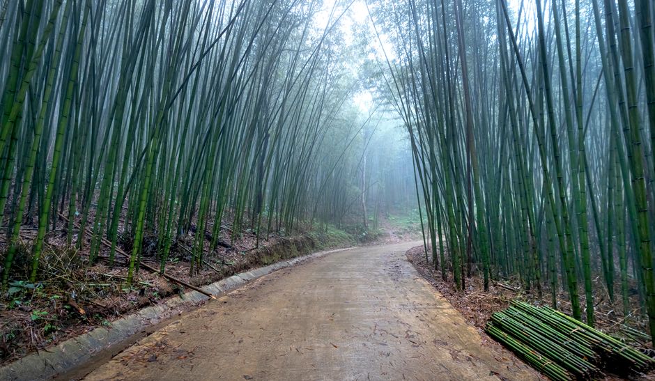 Damyang, South Korea