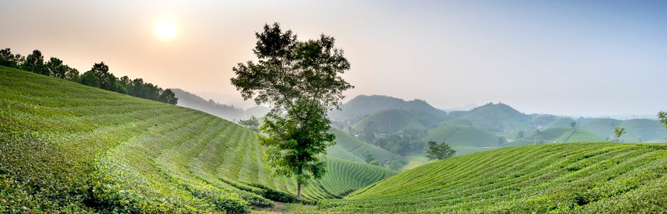 Boseong, South Korea