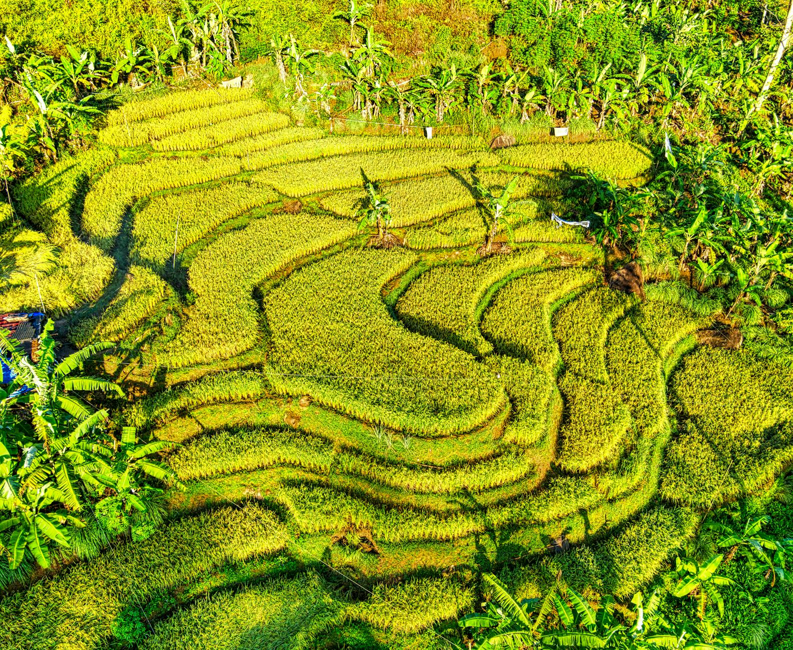 Beyond the Crowds: 7 Surprising Things to Do in Bali Besides Ubud