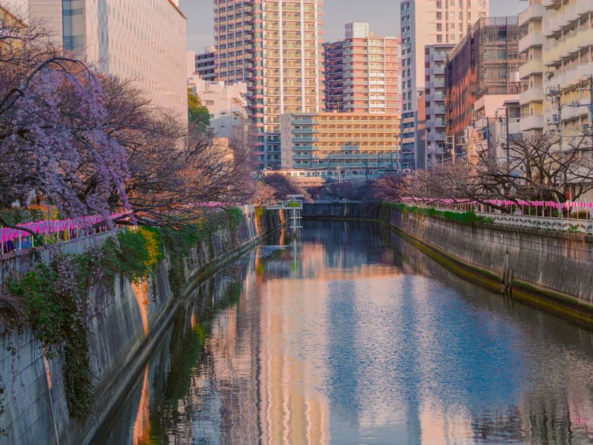 Naka-Meguro, Tokyo, Japan