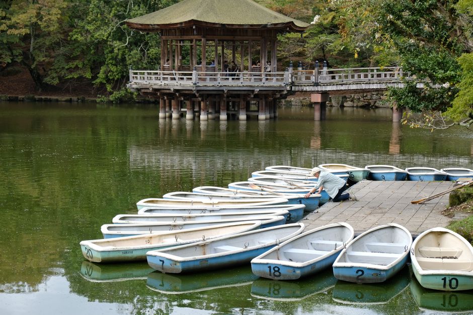 Inokashira Park, Kichijoji, Tokyo, Japan
