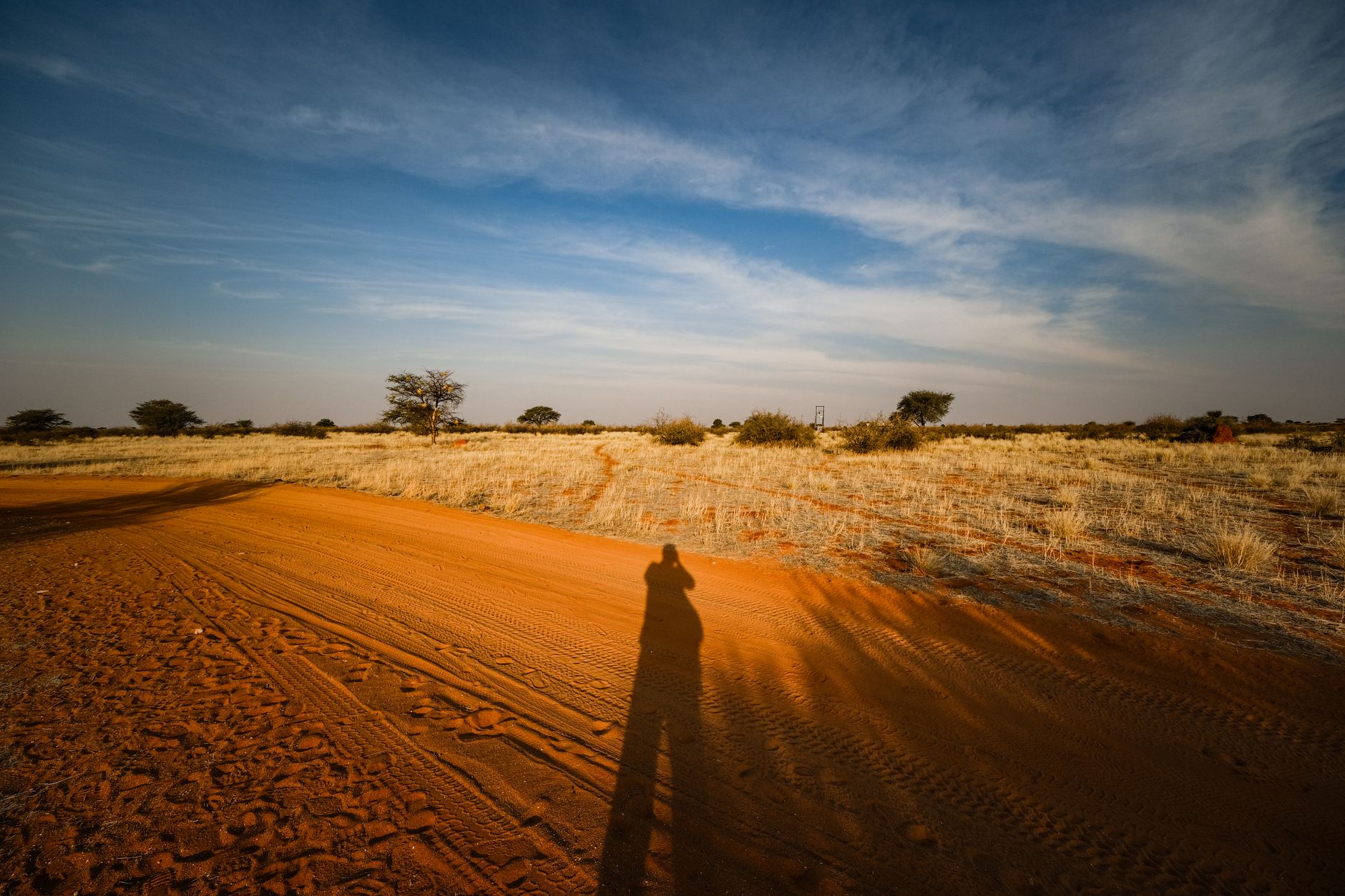 A vast, untouched Namibian desert landscape stretching to the horizon under a clear sky, showcasing the country's immense scale and remote beauty.