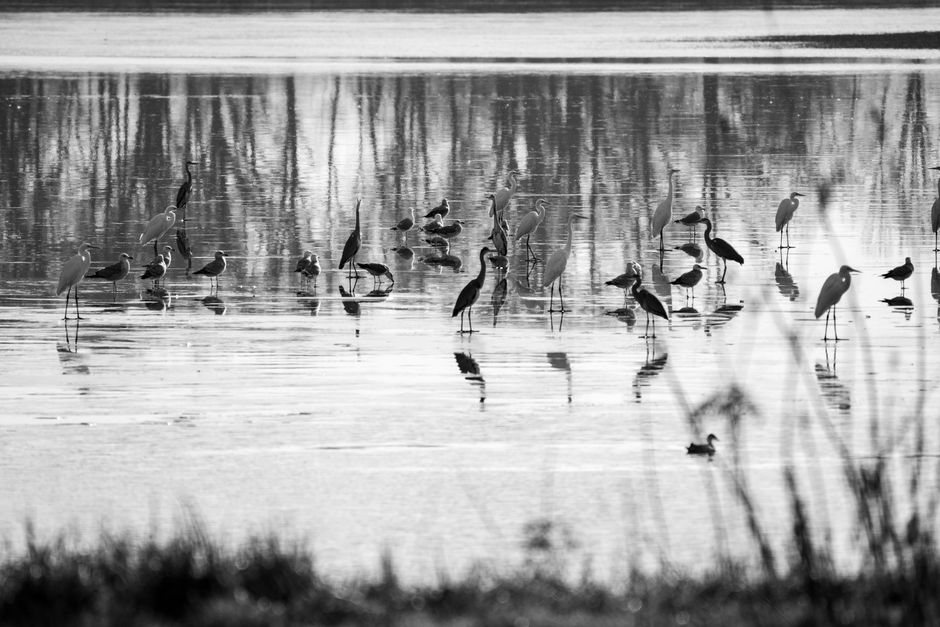 Tommy Thompson Park, Toronto, Canada