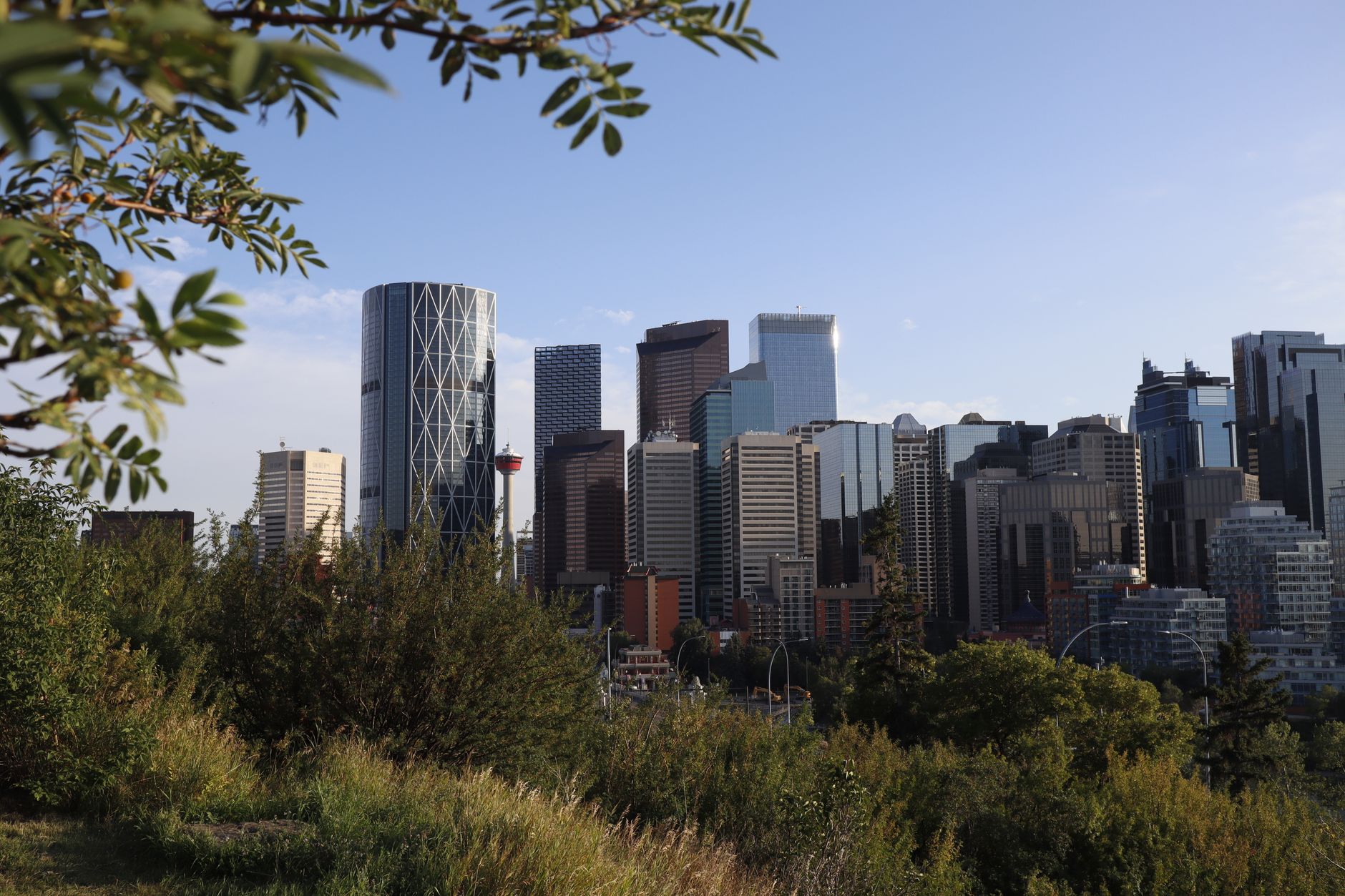 Calgary vs. Montreal: Which City Is More Fun for Young People? Uncovering Hidden Gems