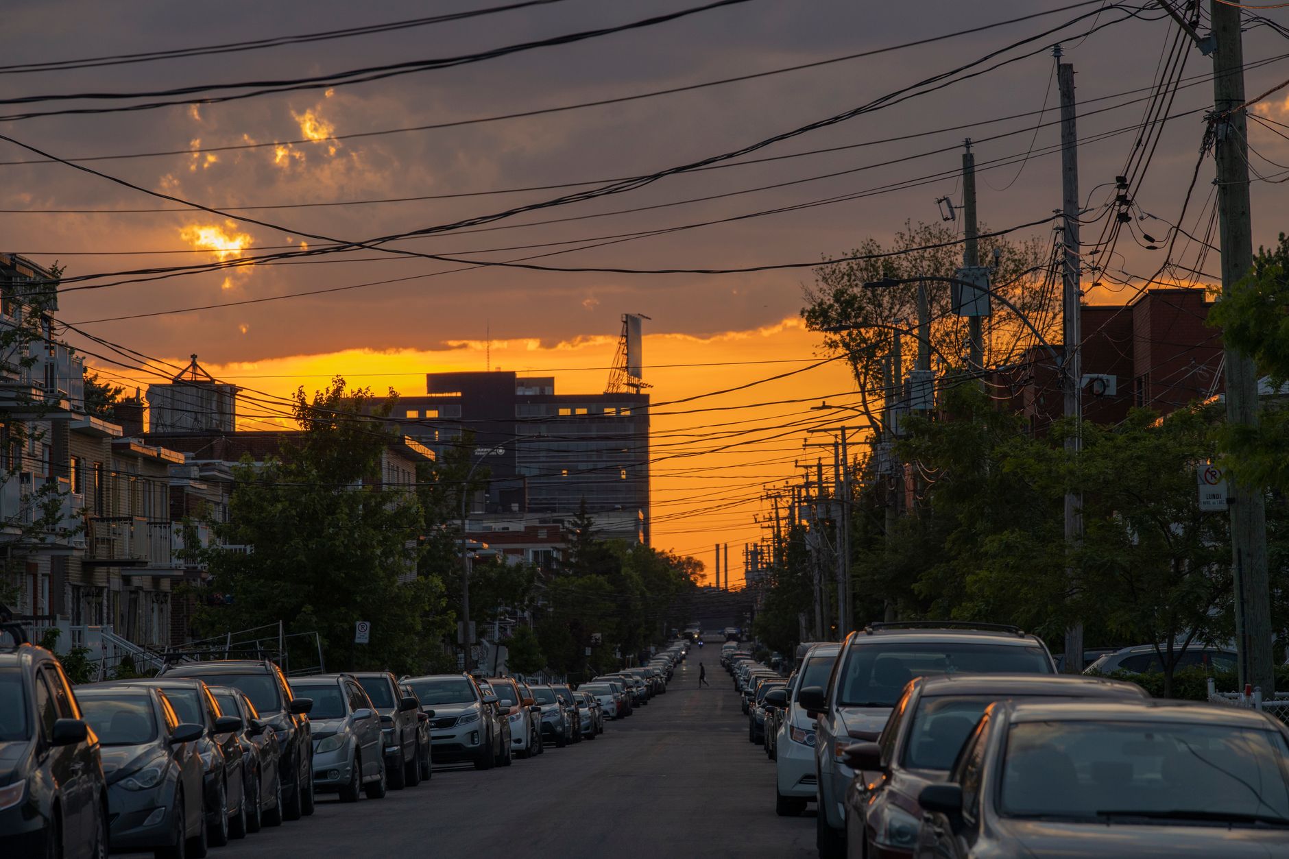 A charming, tree-lined street in Montreal's Plateau Mont-Royal district with colorful residential buildings and classic outdoor staircases at sunset.