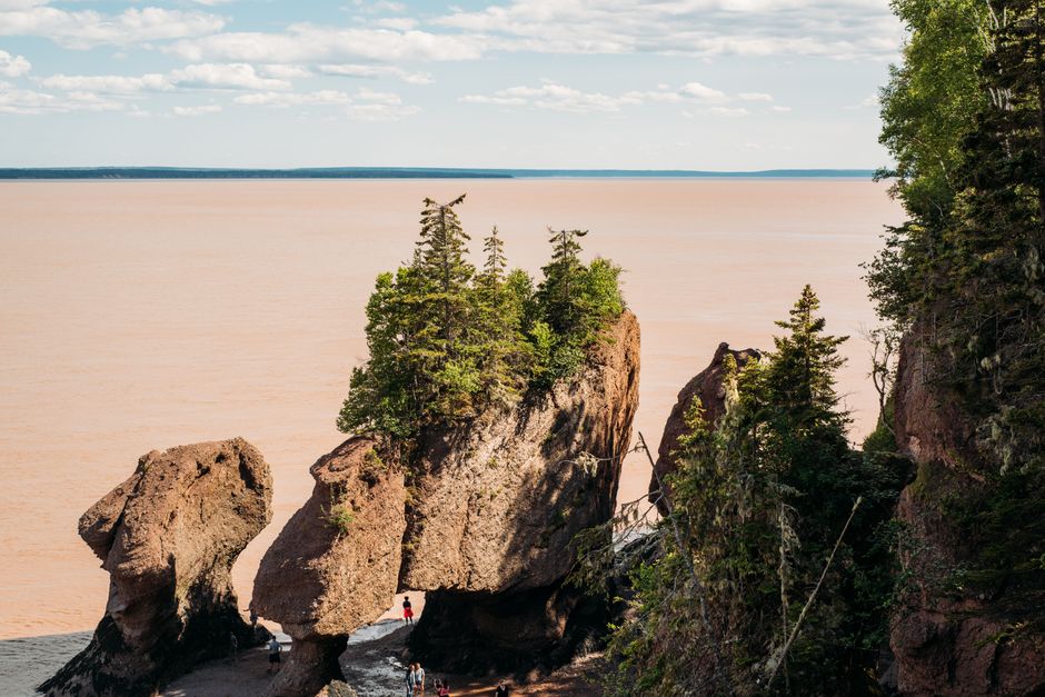 Bay of Fundy (specific mudflats), Nova Scotia / New Brunswick