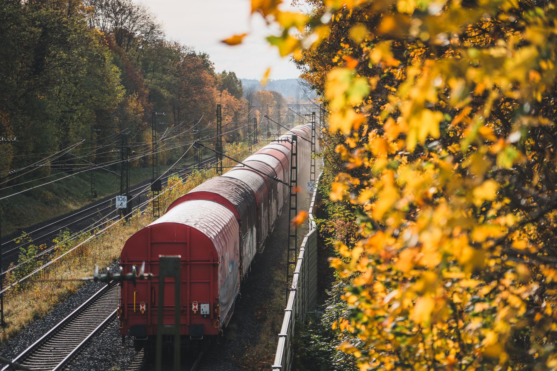 A long passenger train winding through a vibrant autumn forest at sunset, suggesting a scenic journey.