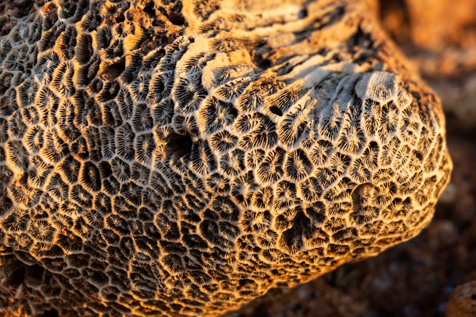 Guadalupe Mountains National Park, USA