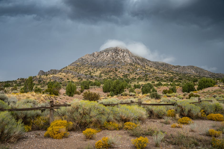 Great Basin National Park, USA