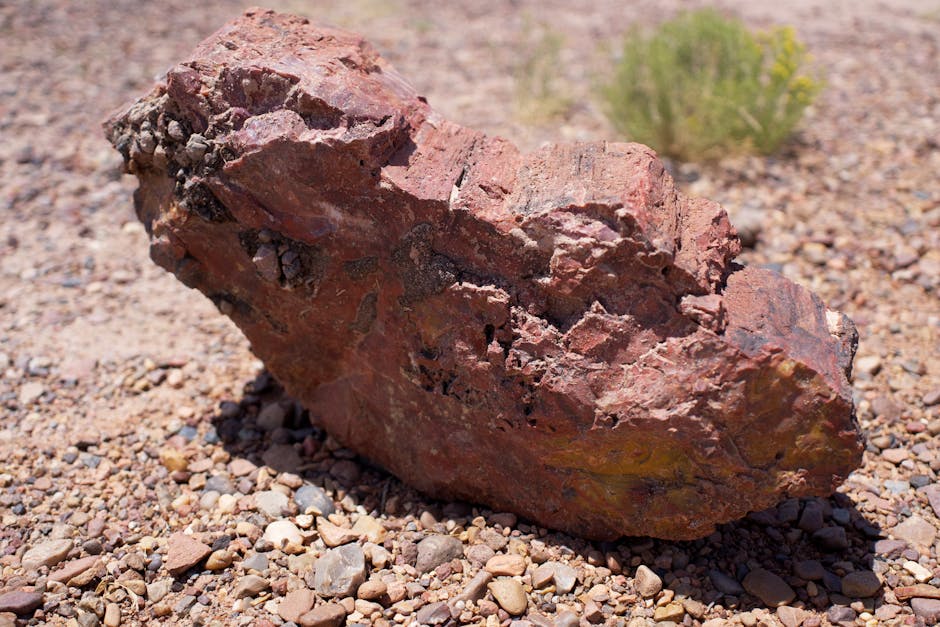 Petrified Forest National Park, USA
