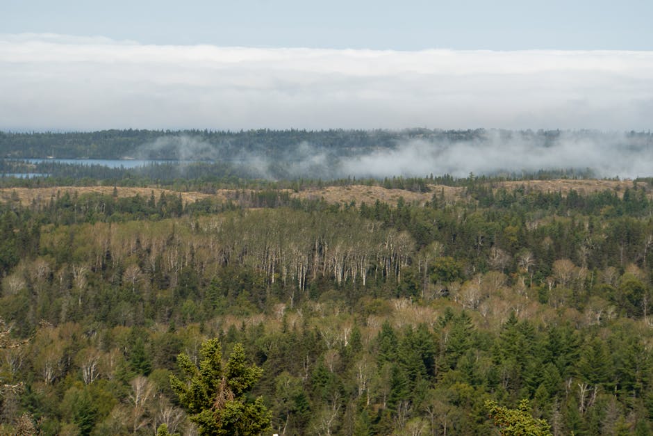 Isle Royale National Park, USA