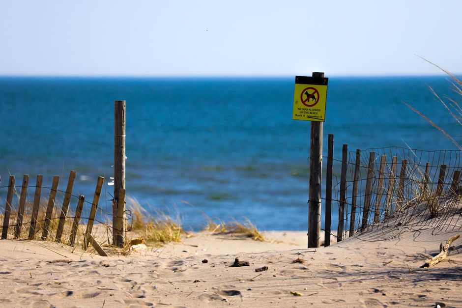 Culloden Point, Montauk, USA