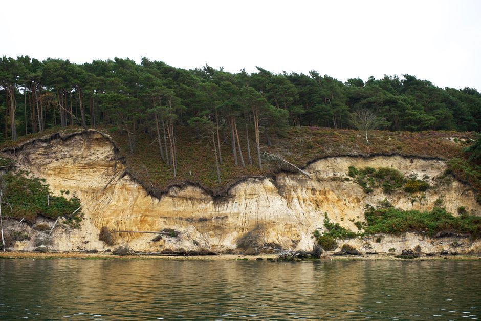 Mashomack Preserve, Shelter Island, USA