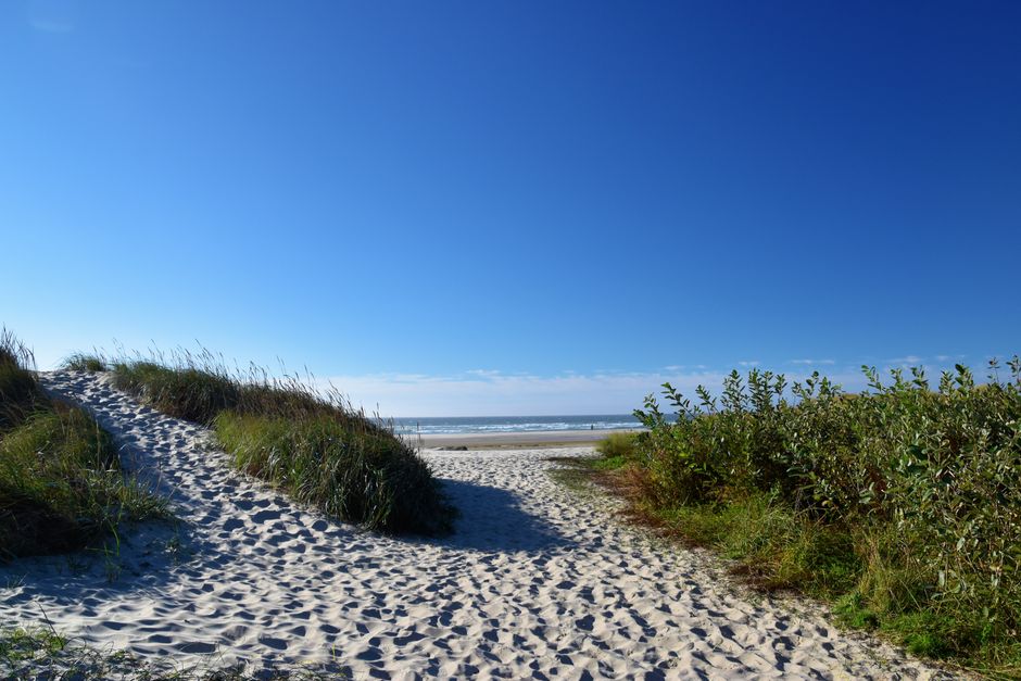 Orient Beach State Park, Orient Point, USA