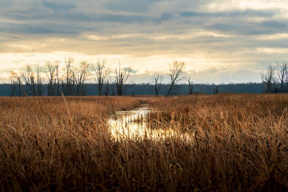 Target Rock National Wildlife Refuge, Lloyd Harbor, USA
