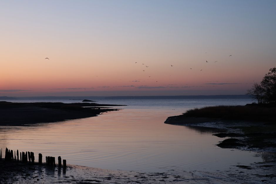 Mashomack Preserve, Shelter Island, USA