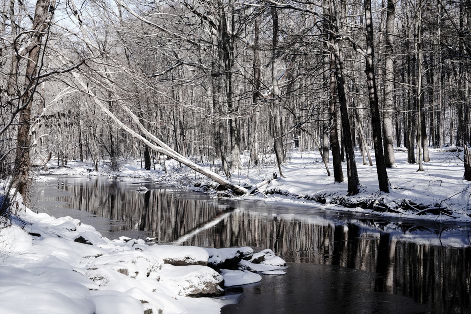 Oakdale, USA