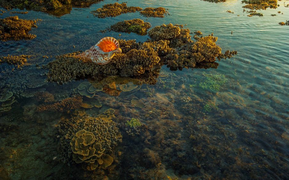 Longkeng Ecological Protection Area, Kenting, Taiwan