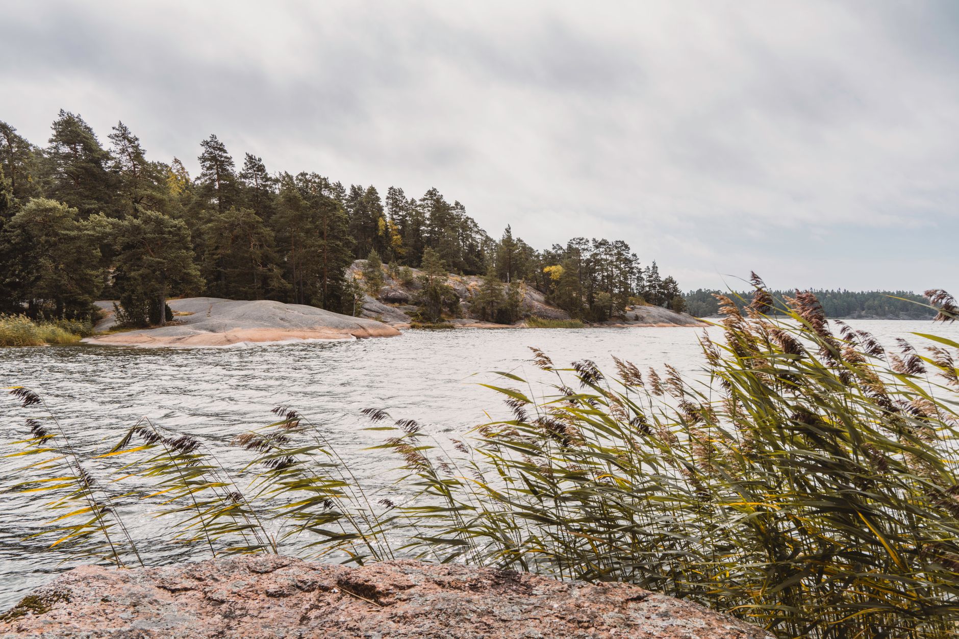 Koli National Park, Finland