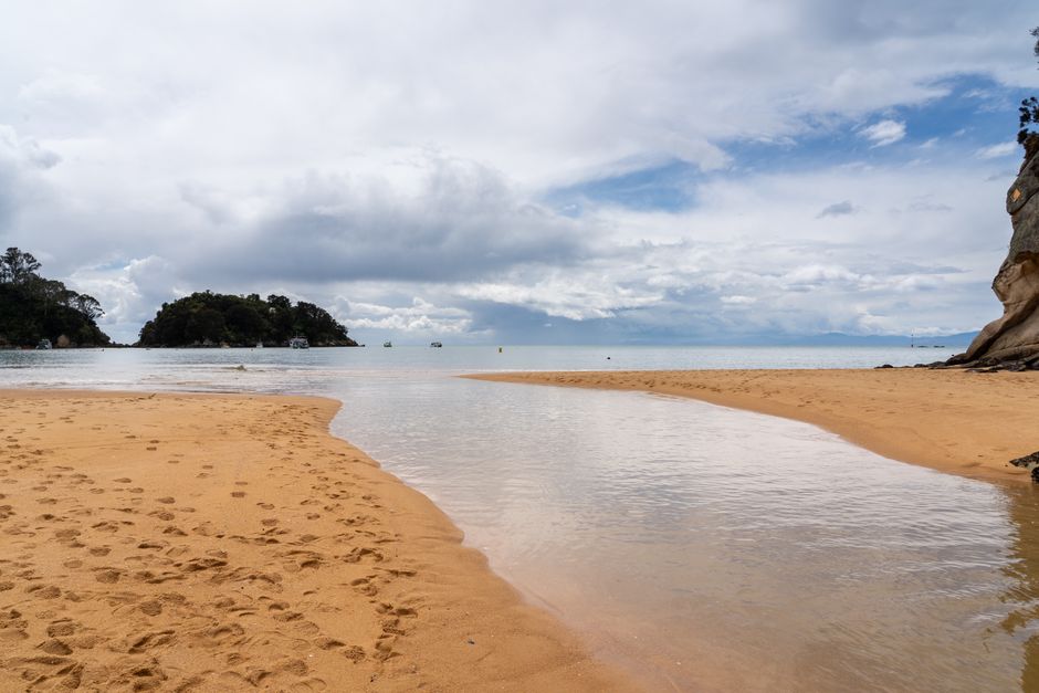 Coromandel Peninsula, New Zealand