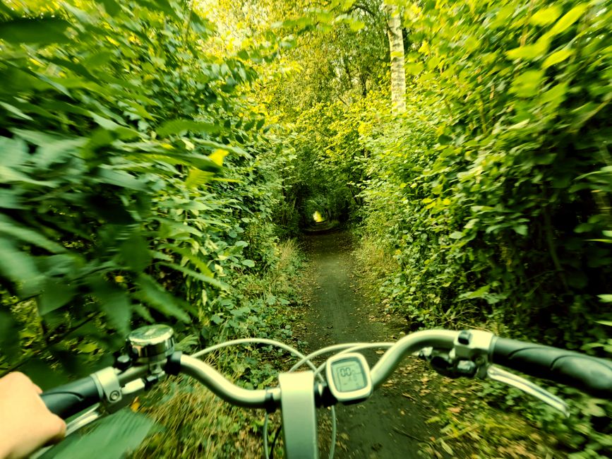 Tarka Trail, North Devon, UK