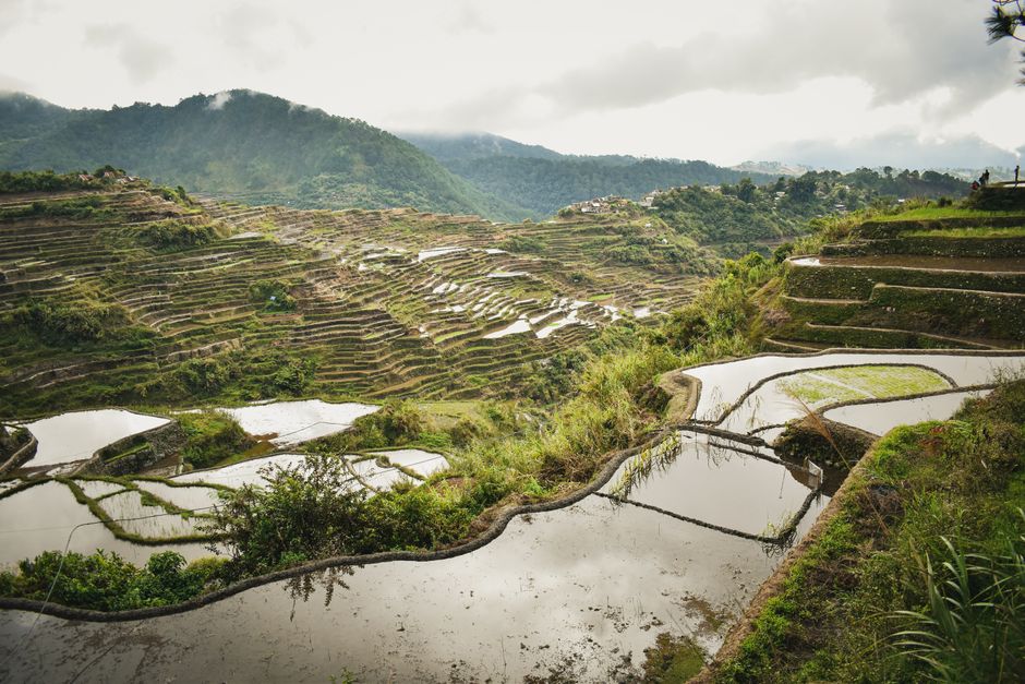 Banaue Rice Terraces, Philippines