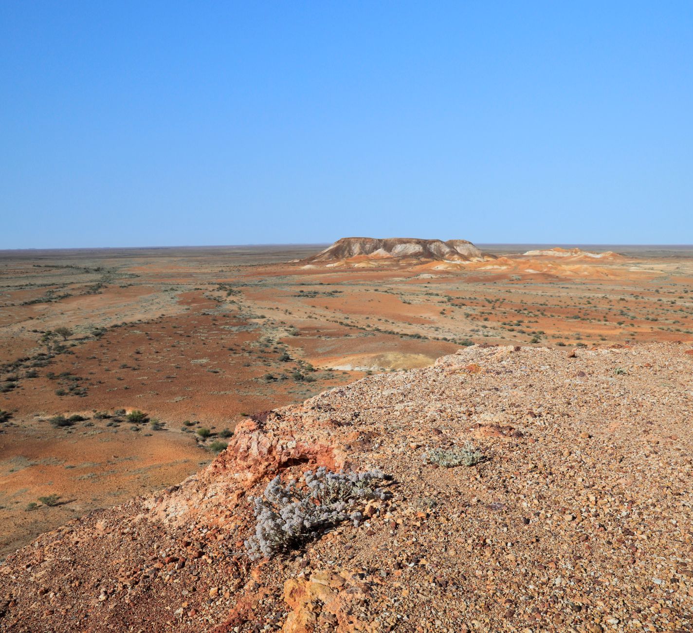Do you think Australia becoming a data centre capital of the world?