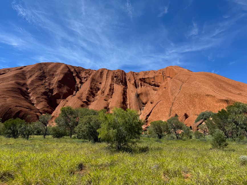 Curtain Springs Station, Northern Territory, Australia