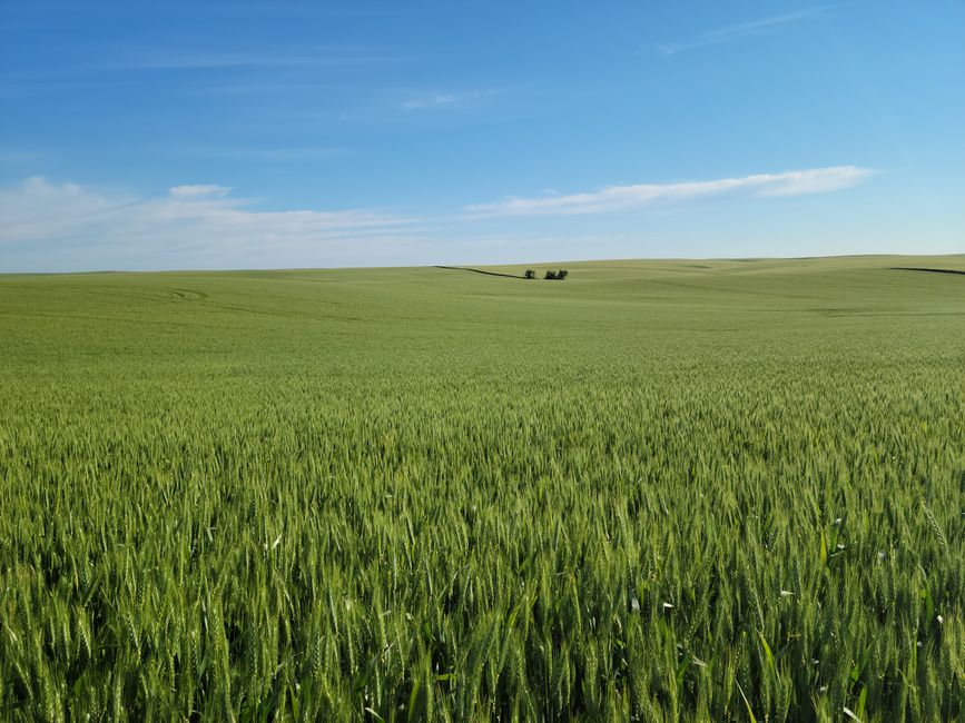 Moro, Oregon, USA