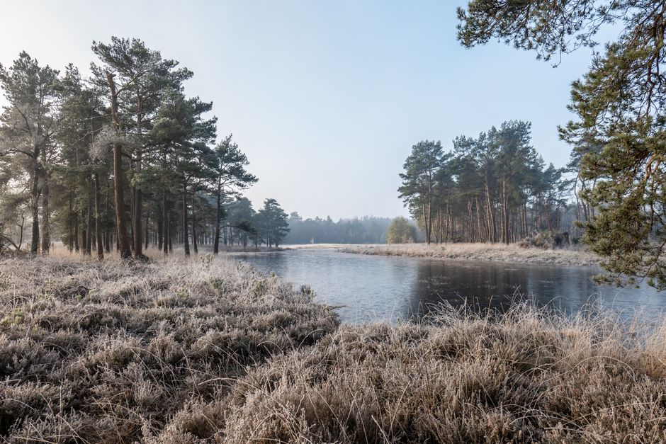 Greenham Common, Berkshire, England