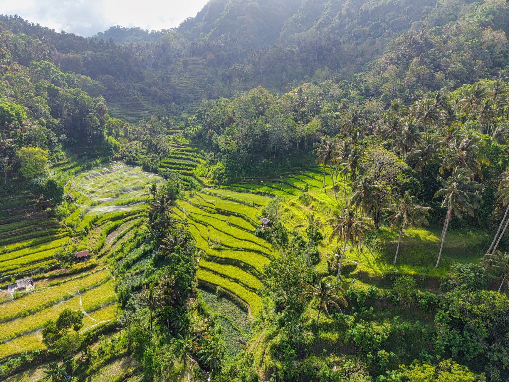 Sweeping aerial view of lush green rice terraces and a distant volcanic mountain in rural Bali, shrouded in a soft morning mist.