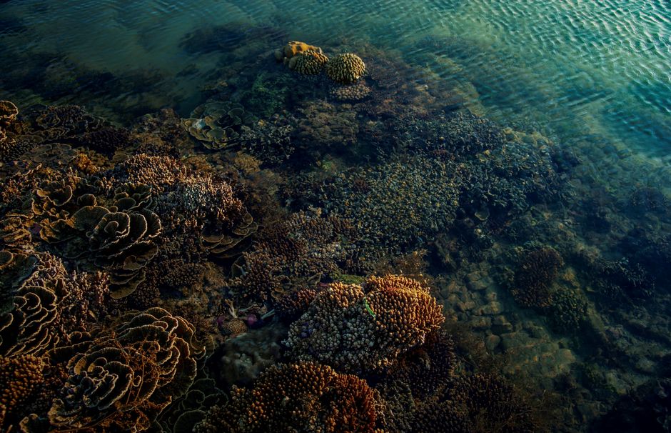 Pemuteran, Bali, Indonesia