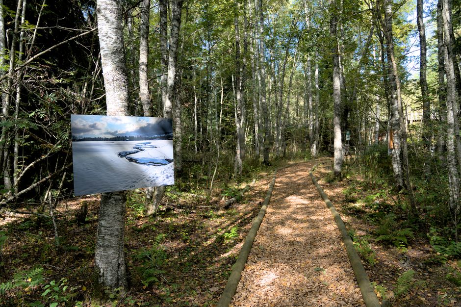 Dalton Trail, Yukon/British Columbia/Alaska