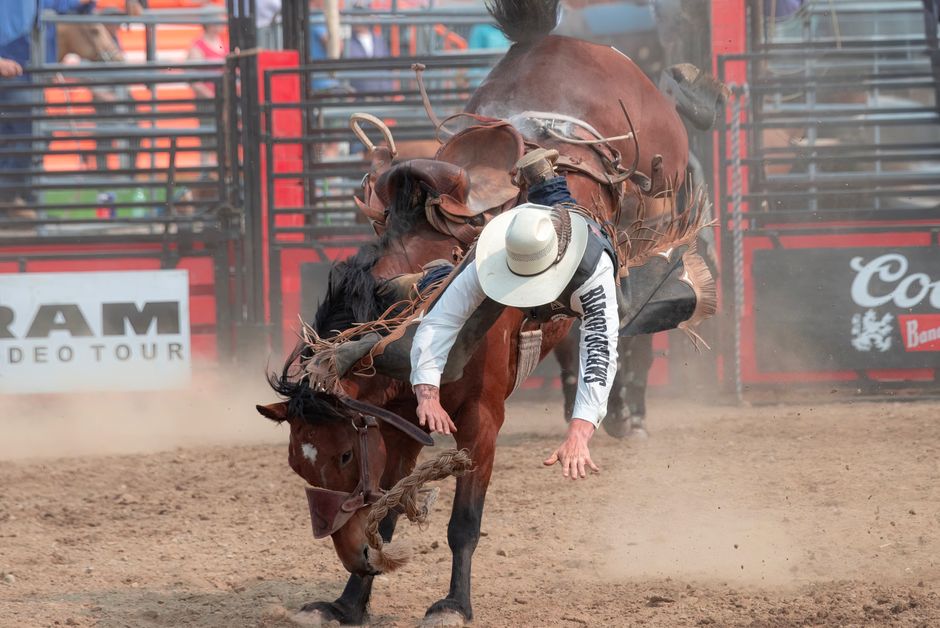 Miles City, Montana, USA
