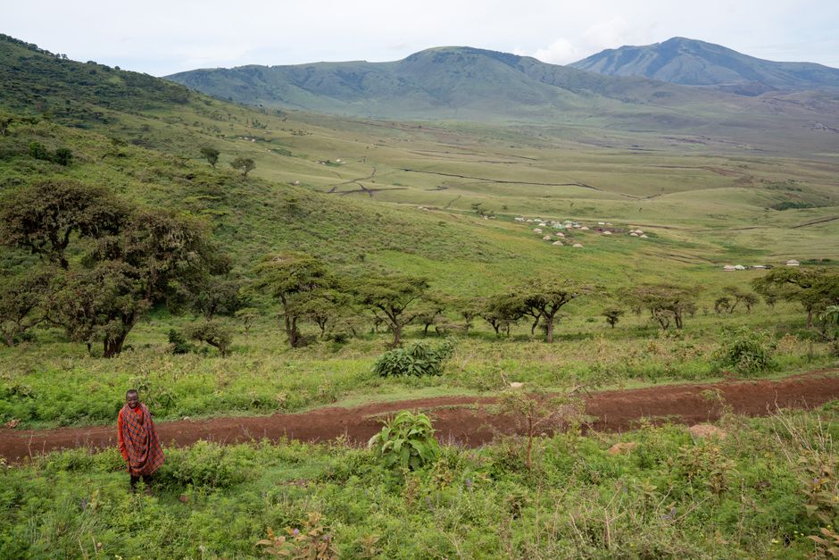 Ngorongoro Conservation Area environs, Tanzania
