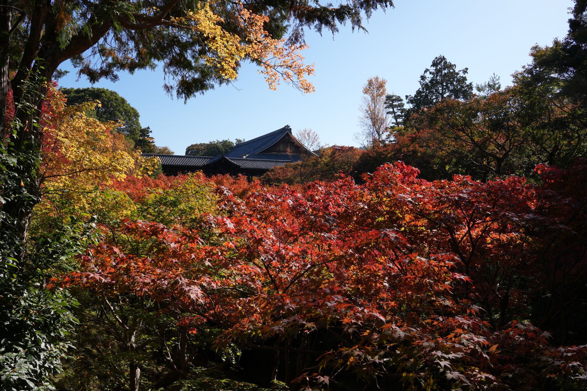 Hidden Gems in Kyoto: Uncover Ancient Secrets Beyond the Crowds